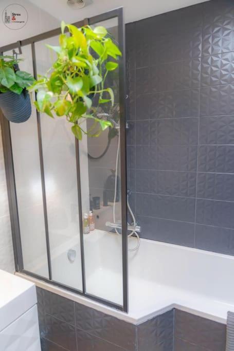 Appartement Le Roble - 5 Min Du Centre De